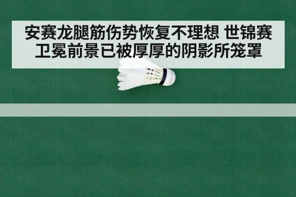 安赛龙腿筋伤势恢复不理想 世锦赛卫冕前景已被厚厚的阴影所笼罩